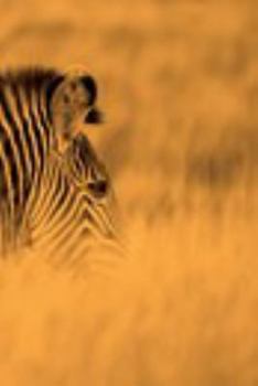 Paperback Alive! zebra stripes - Sepia - Photo Art Notebooks (6 x 9 series): by Photographer Eva-Lotta Jansson Book