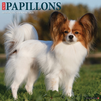 Calendar Papillons 2026 Wall Calendar Book
