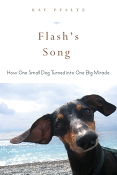 Paperback Flash's Song: How One Small Dog Turned Into One Big Miracle Book