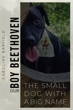 Our Boy Beethoven: The Small Dog With A Big Name