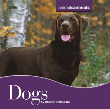 Dogs - Book  of the Animals, Animals