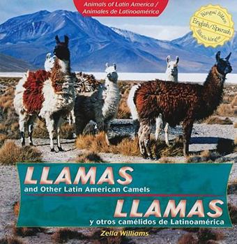 Paperback Llamas and Other Latin American Camels / Llamas Y Otros Camélidos de Latinoamérica Book