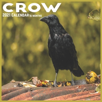 Paperback Crow 2021 Calendar: Official Crows Bird Wall Calendar 2021 Book