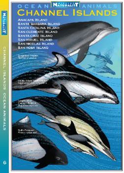 Pamphlet Channel Islands Ocean Animals (Weekend Naturalist Nature Guide Foldout #6, #6) Book