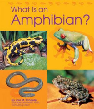 Hardcover What Is an Amphibian? Book