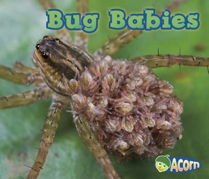 Hardcover Bug Babies Book