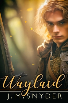 Paperback Waylaid Book