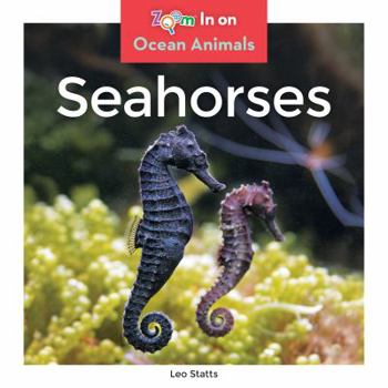 Library Binding Seahorses Book