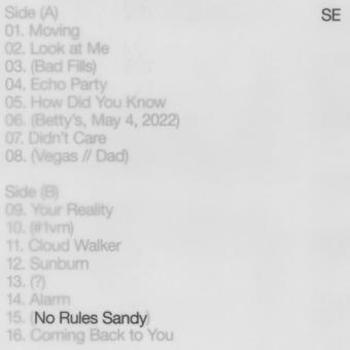Vinyl No Rules Sandy  Olive Green Book