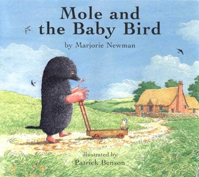 Hardcover Mole and the Baby Bird Book