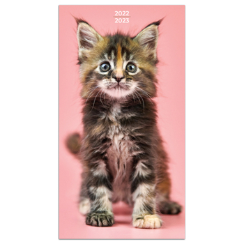 Calendar Cal 2022- Kittens 2-Year Small Monthly Planner Book