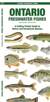 Ontario Fishes: A Folding Pocket Guide to All Known Native and Introduced Freshwater Species (Pocket Naturalist Guide)