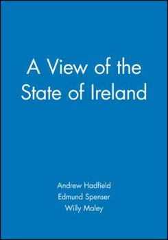 Paperback A View of the State of Ireland: The Production and Experience of Consumption Book