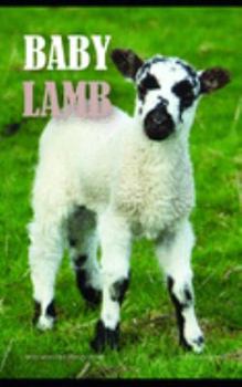 Paperback Baby Lamb Note Monthly 2020 Planner 12 Month Calendar Book