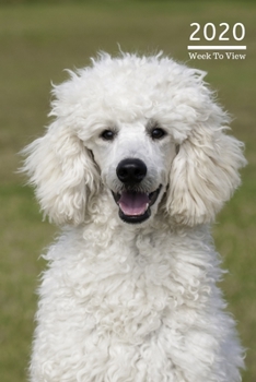 2020 A5 Diary Week To View Planner For All Occasions: | Year Planner For Business, Office, Home, University, College, School, Appointments, Organizer.