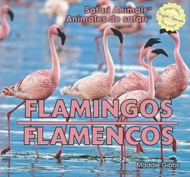 Library Binding Flamingos / Flamencos Book