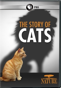 DVD Nature: The Story of Cats Book