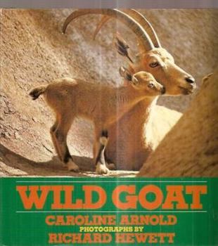 Hardcover Wild Goat Book