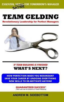 Paperback Team Gelding: Revolutionary Leadership for Perfect Managers Book