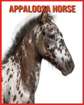 Appaloosa Horse: Amazing Pictures & Fun Facts on Animals in Nature