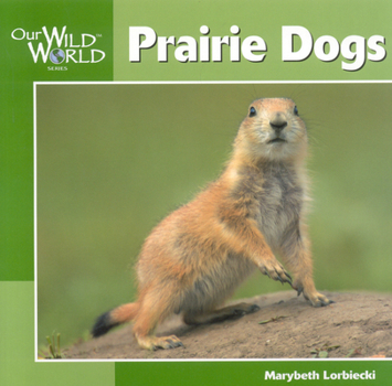 Hardcover Prairie Dogs (Our Wild World) Book
