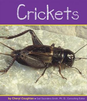Paperback Crickets Book
