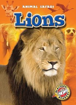 Lions - Book  of the Animal Safari