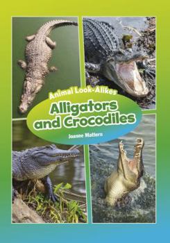 Library Binding Alligators and Crocodiles Book