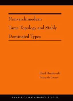 Hardcover Non-Archimedean Tame Topology and Stably Dominated Types Book