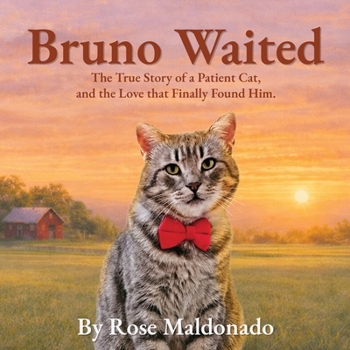 Paperback Bruno Waited Book