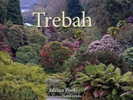 Paperback Trebah Book