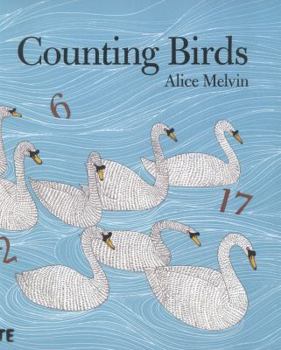 Paperback Counting Birds Book