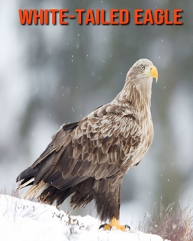 Paperback White-Tailed Eagle: Fun Learning Facts About White-Tailed Eagle Book