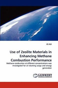 Paperback Use of Zeolite Materials in Enhancing Methane Combustion Performance Book