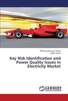 Paperback Key Risk Identification and Power Quality Issues in Electricity Market Book
