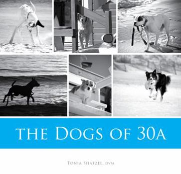 Hardcover The Dogs of 30A Book