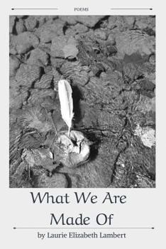 Paperback What We Are Made Of Book