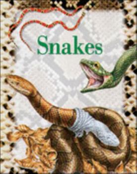 Paperback Snakes: Set 2 (Explorers) Book