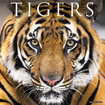 Calendar Tigers 2021 Wall Calendar Book