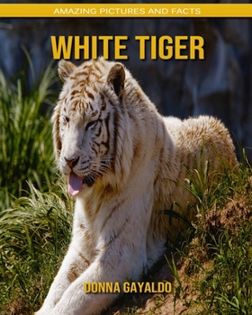 White Tiger: Amazing Pictures and Facts