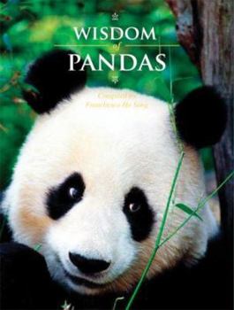 Hardcover Wisdom of Pandas Book