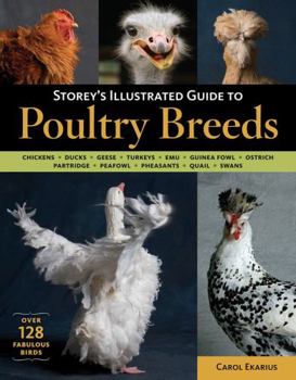 Paperback Storey's Illustrated Guide to Poultry Breeds: Chickens, Ducks, Geese, Turkeys, Emus, Guinea Fowl, Ostriches, Partridges, Peafowl, Pheasants, Quails, S Book