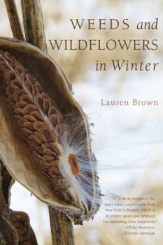 Paperback Weeds and Wildflowers in Winter Book