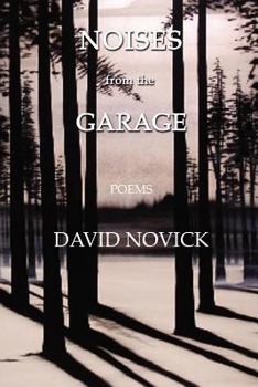 Paperback Noises from the Garage Book