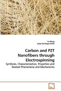 Paperback Carbon and PZT Nanofibers through Electrospinning Book
