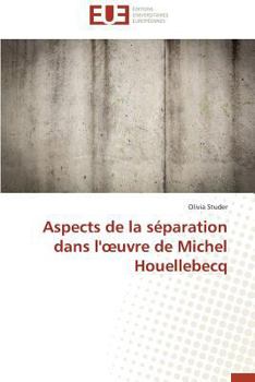 Paperback Aspects de la Séparation Dans L' Uvre de Michel Houellebecq [French] Book