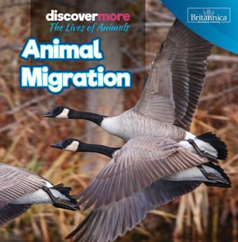 Library Binding Animal Migration Book