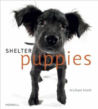 Hardcover Shelter Puppies Book