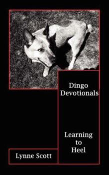 Paperback Dingo Devotionals: Learning to Heel Book