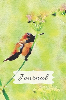 Cute Pastel Green cover with Fluffy Golden Hummingbird & Flower Pretty Diary Journal for Daily Thoughts: Gratitude Gift Notebook for Inspiration & ... (Wildlife Animals & Bird Lovers Blank Books)